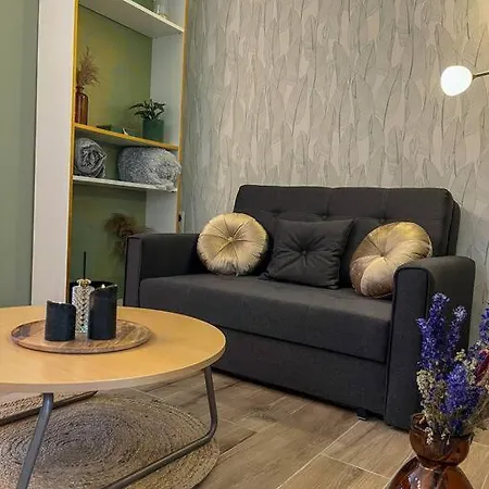 Charmante Maisonnette Dans Quartier Historique Angevin * Angers