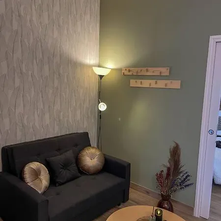 Charmante Maisonnette Dans Quartier Historique Angevin *